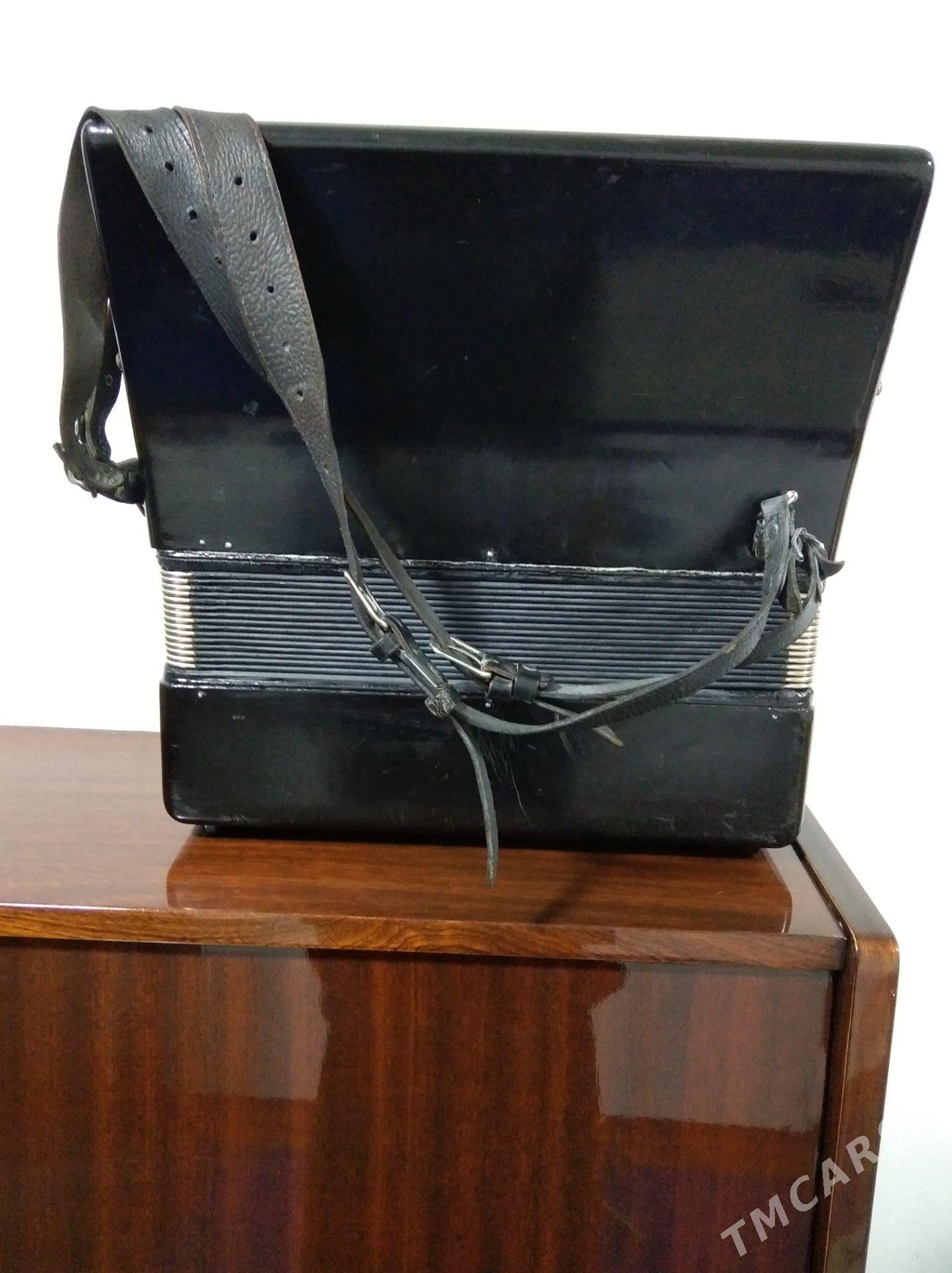 Акардион Akаrdeon - Халач - img 5