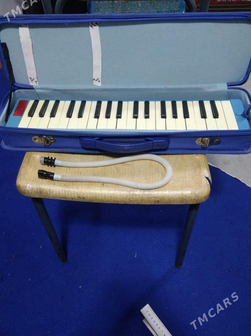 Акардион Akаrdeon - Халач - img 10