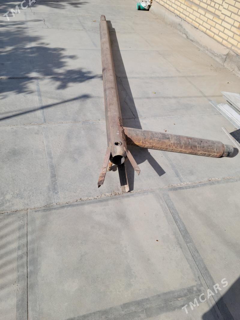 Katelni - Mary - img 1