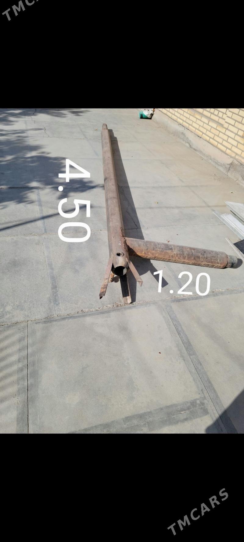 Katelni - Mary - img 2