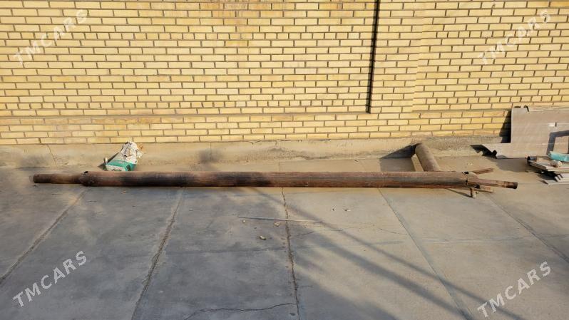 Katelni - Mary - img 3