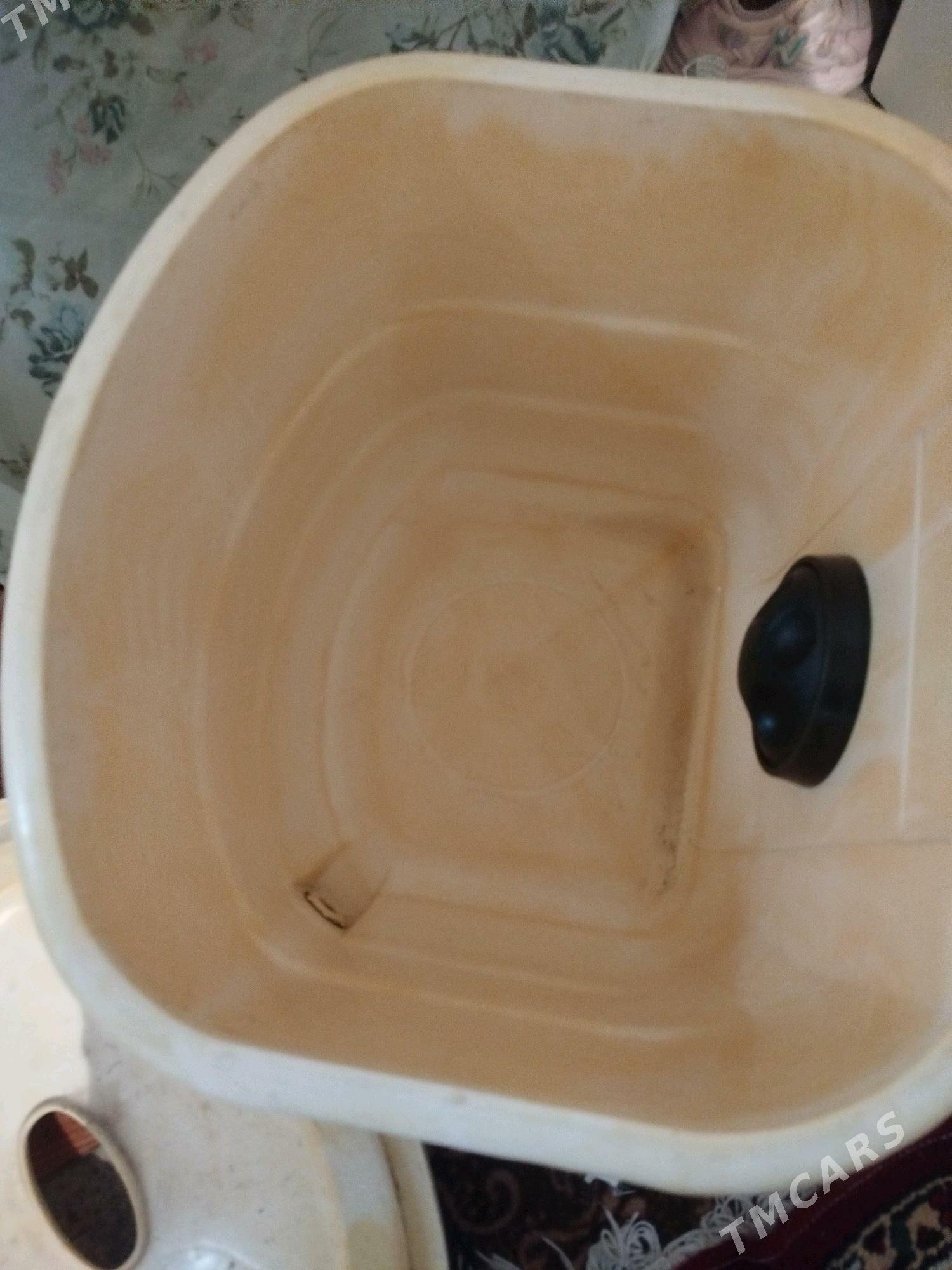 malŷutka kirmaşinniki - Köşi - img 2