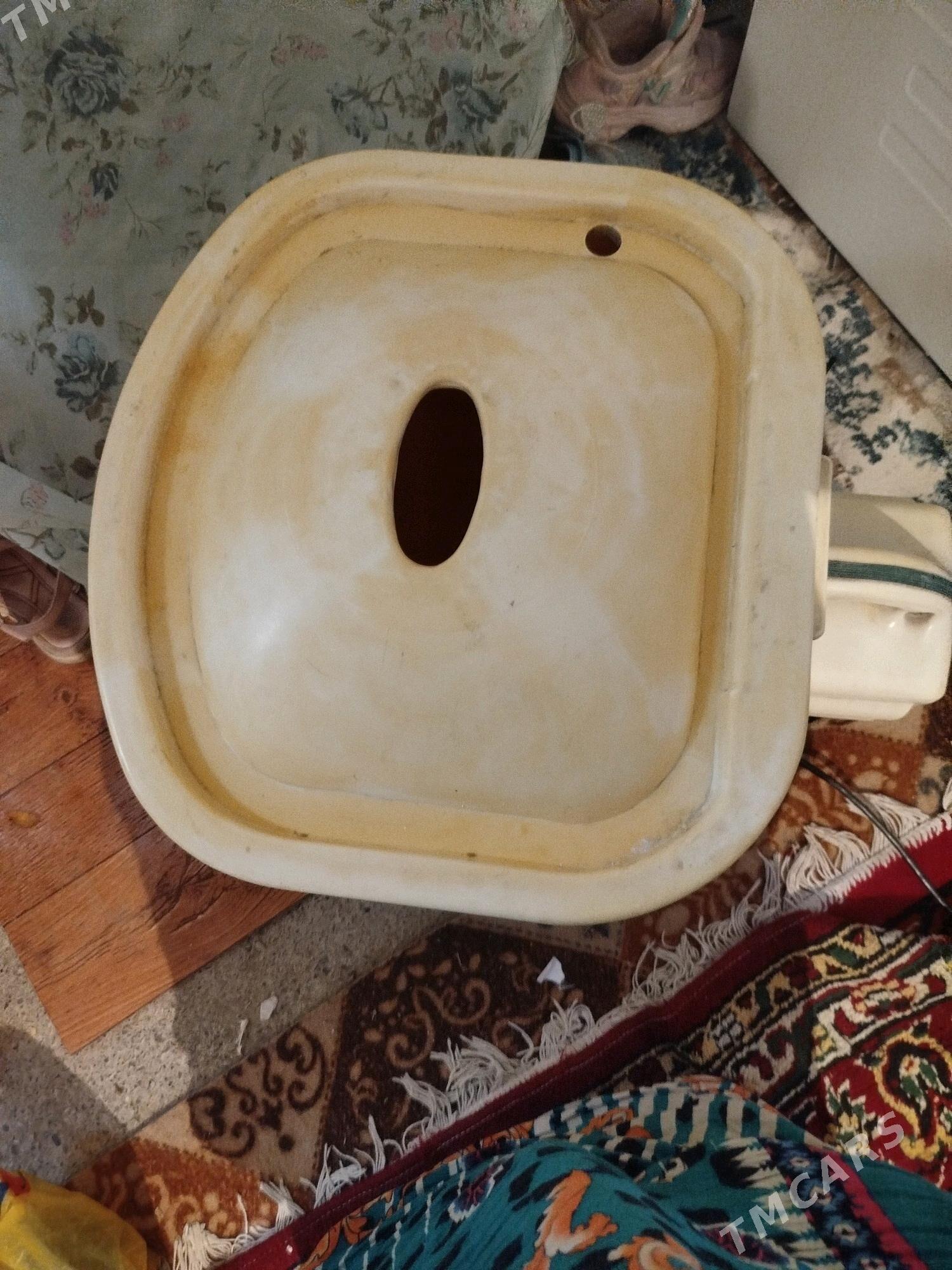 malŷutka kirmaşinniki - Köşi - img 3