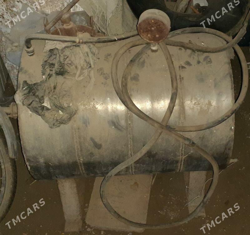 nerjawika bocka - Дянев - img 3