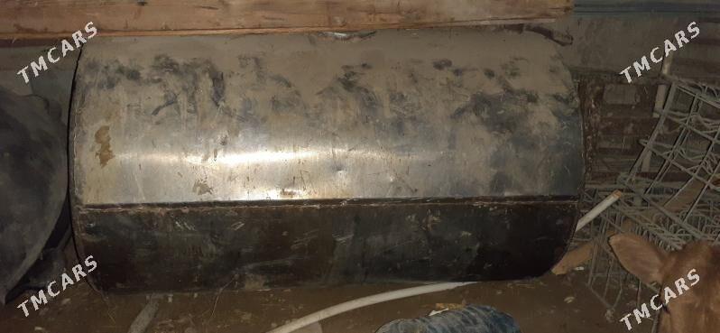 nerjawika bocka - Дянев - img 2