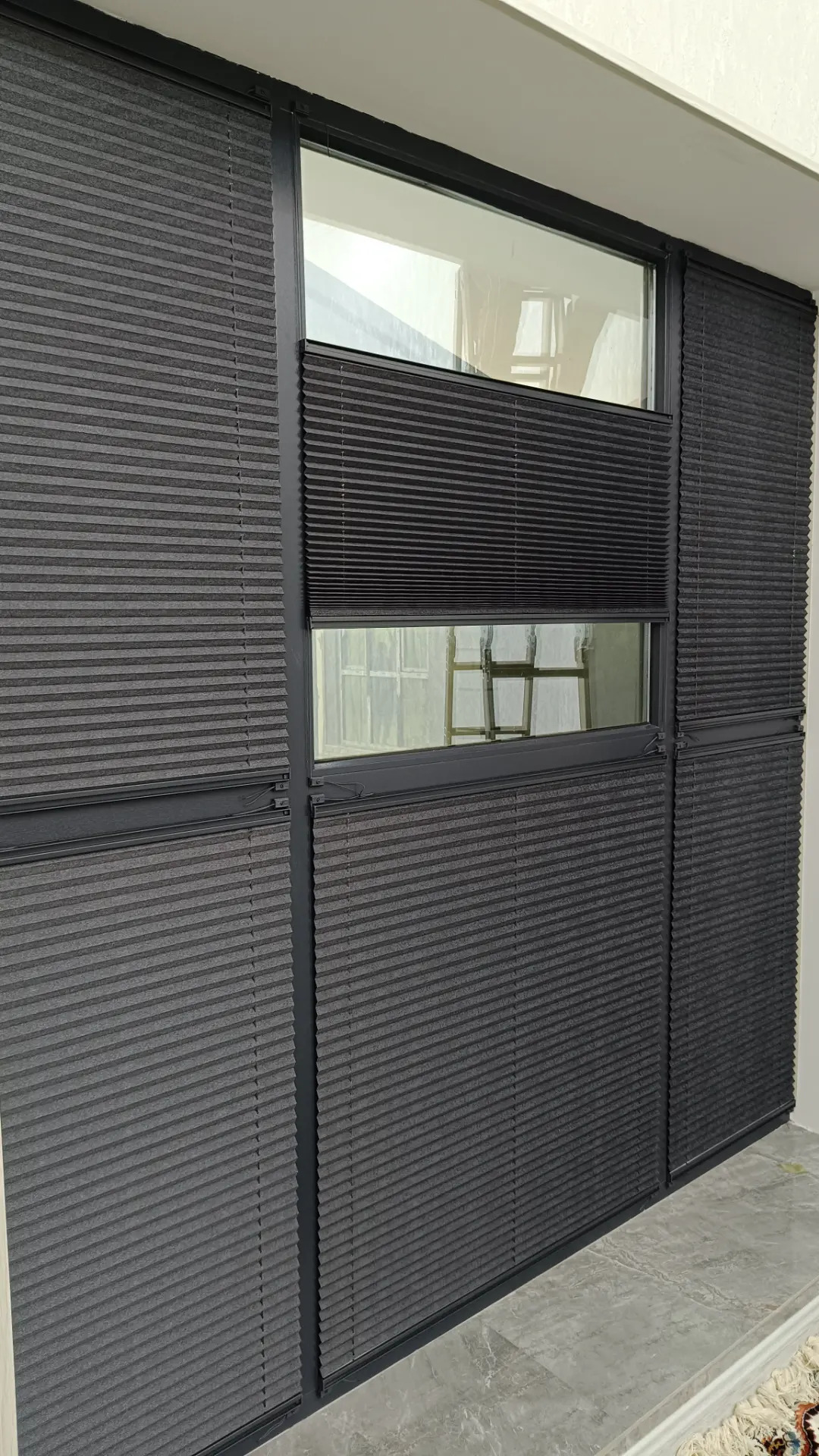 Zalyuz jalyuz tutula - Änew - img 5