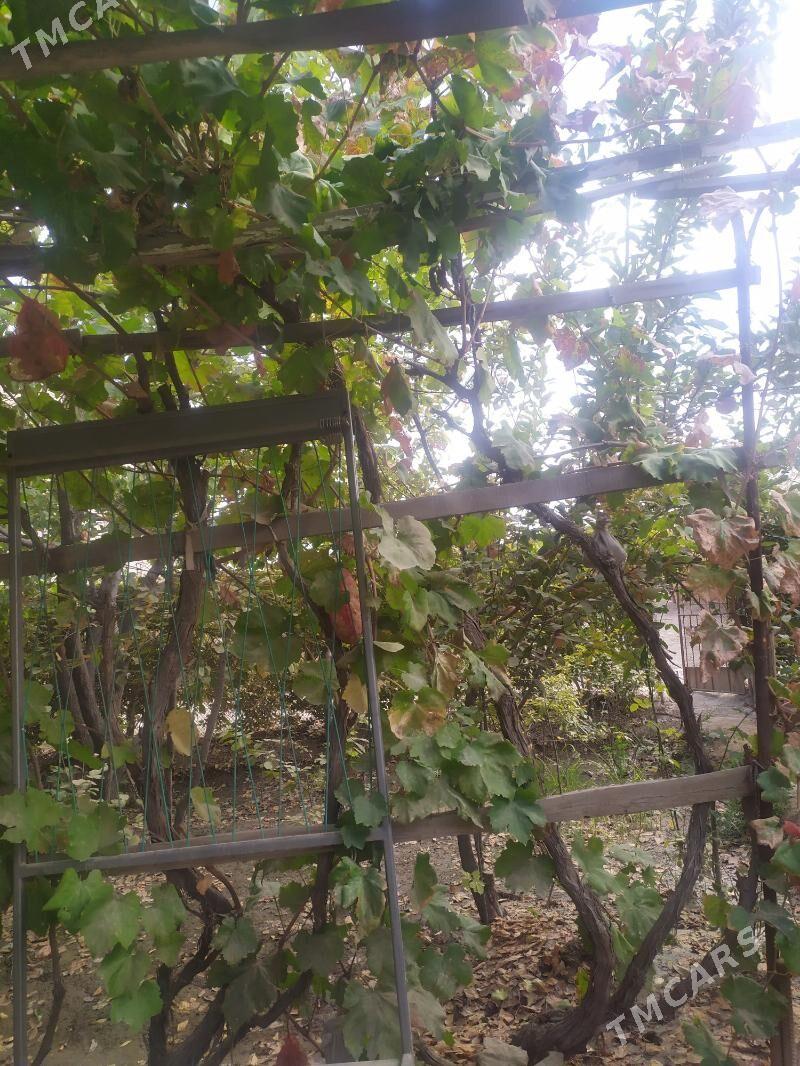 Kwartira - Daşoguz - img 3
