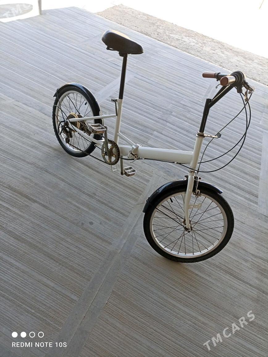 Tigir kama - Tejen - img 3