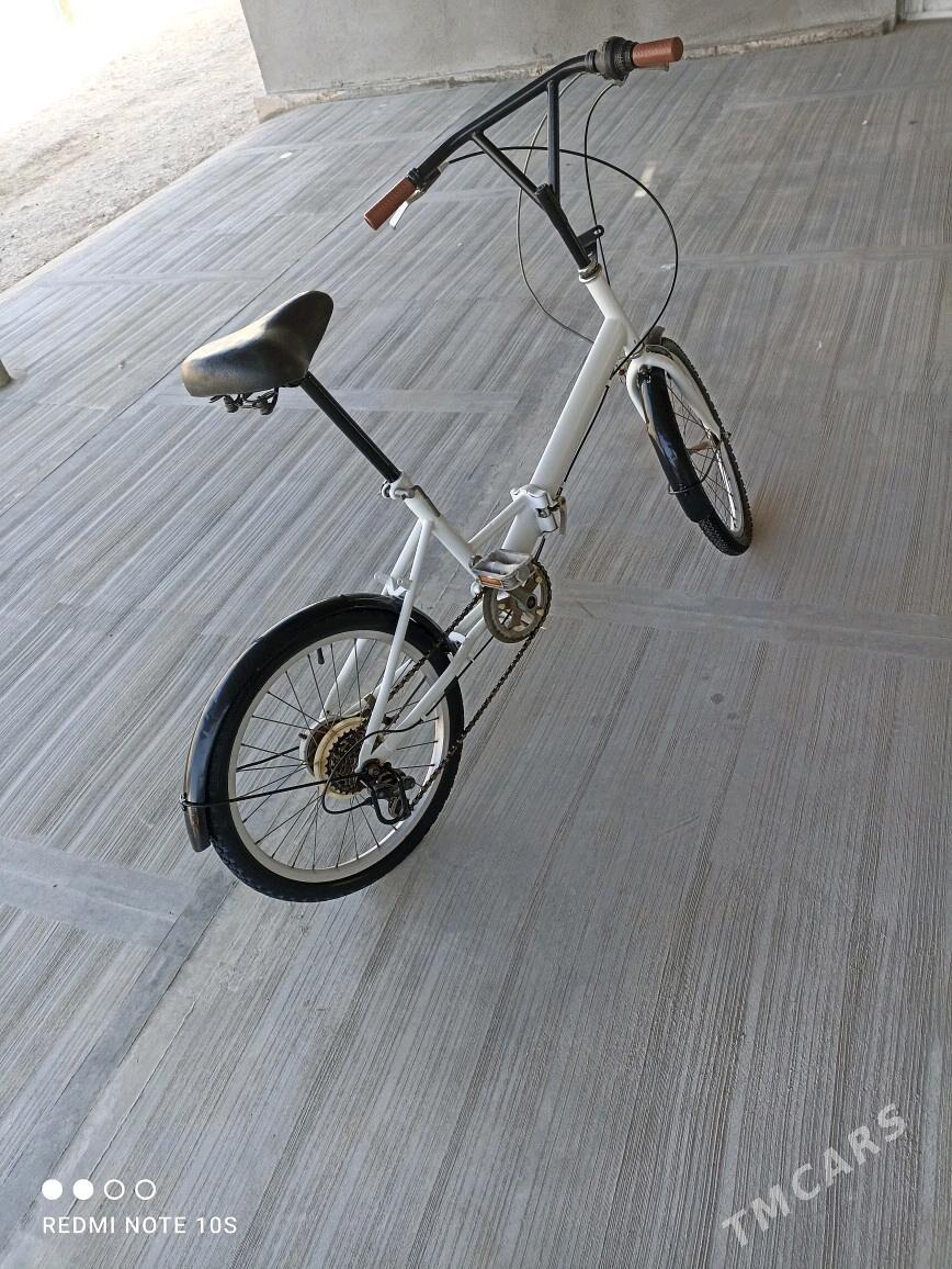 Tigir kama - Tejen - img 2