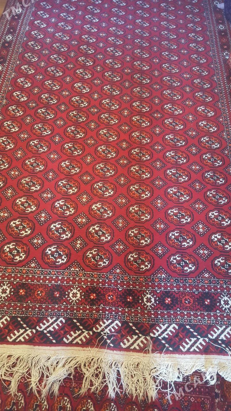 Haly - 10 mkr - img 1