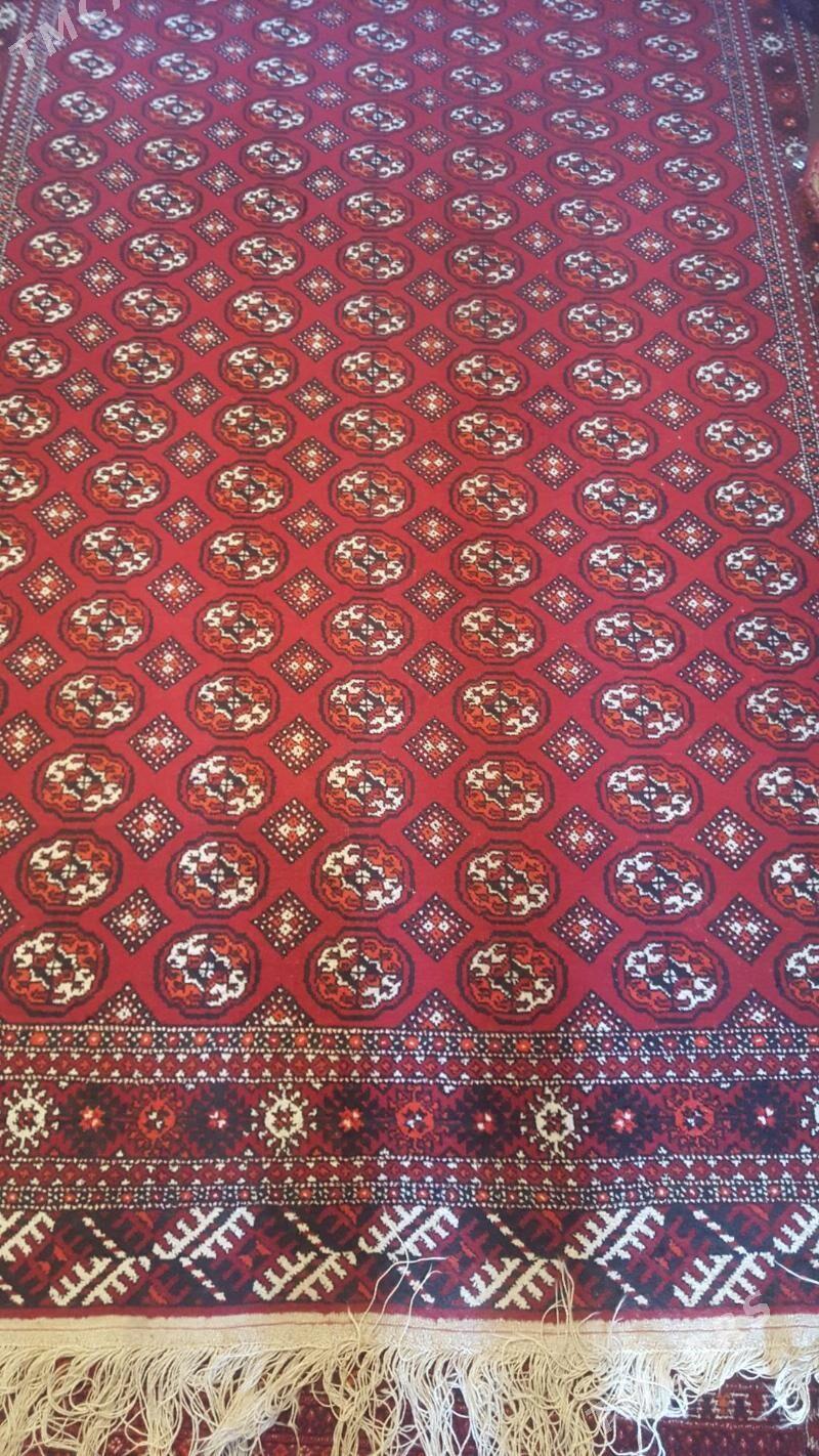 Haly - 10 mkr - img 2