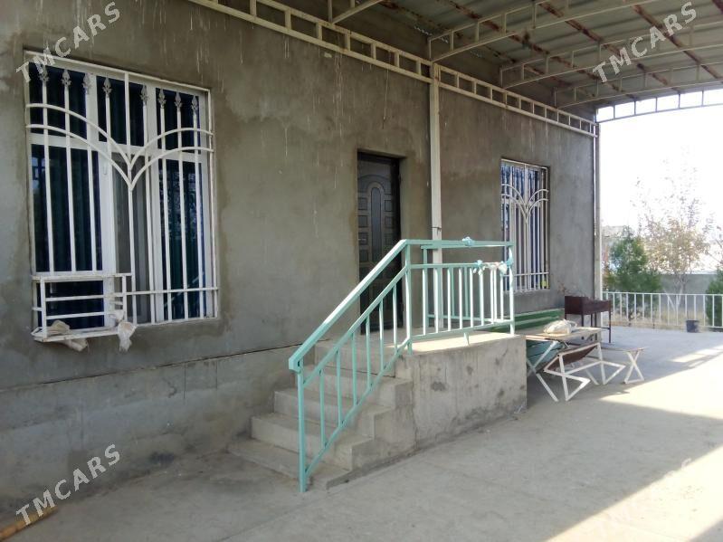 satlyk jay - Бахарден - img 1