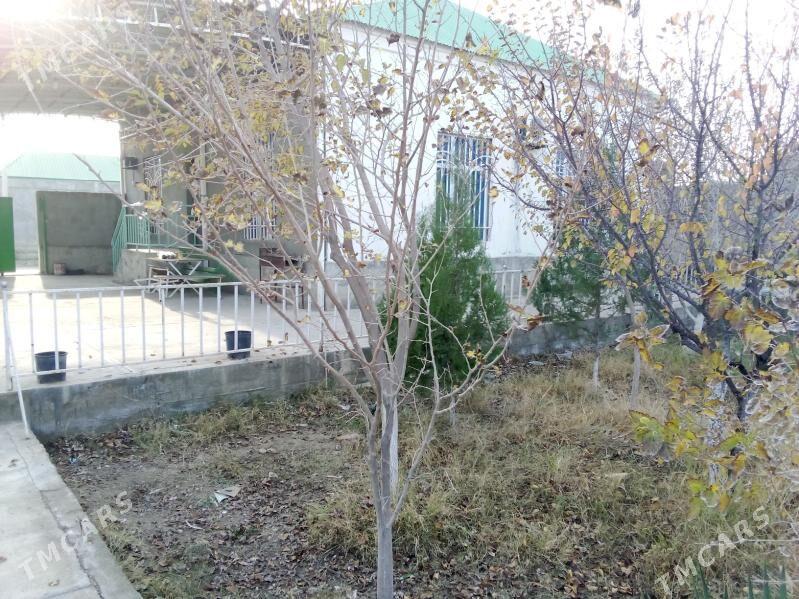 satlyk jay - Бахарден - img 4