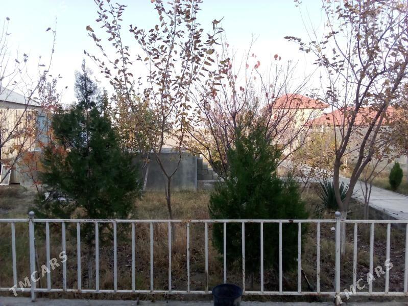 satlyk jay - Бахарден - img 2