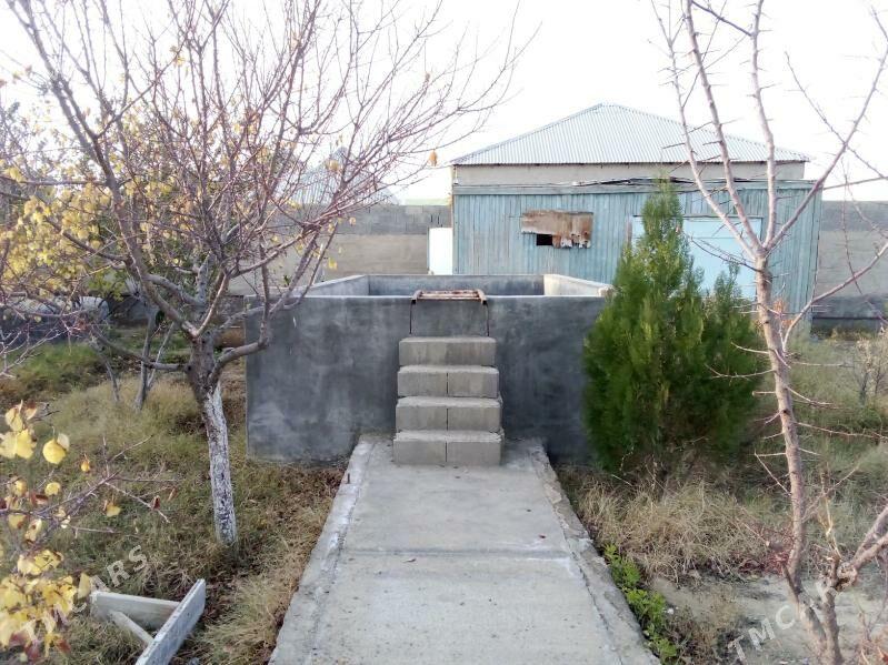 satlyk jay - Бахарден - img 5