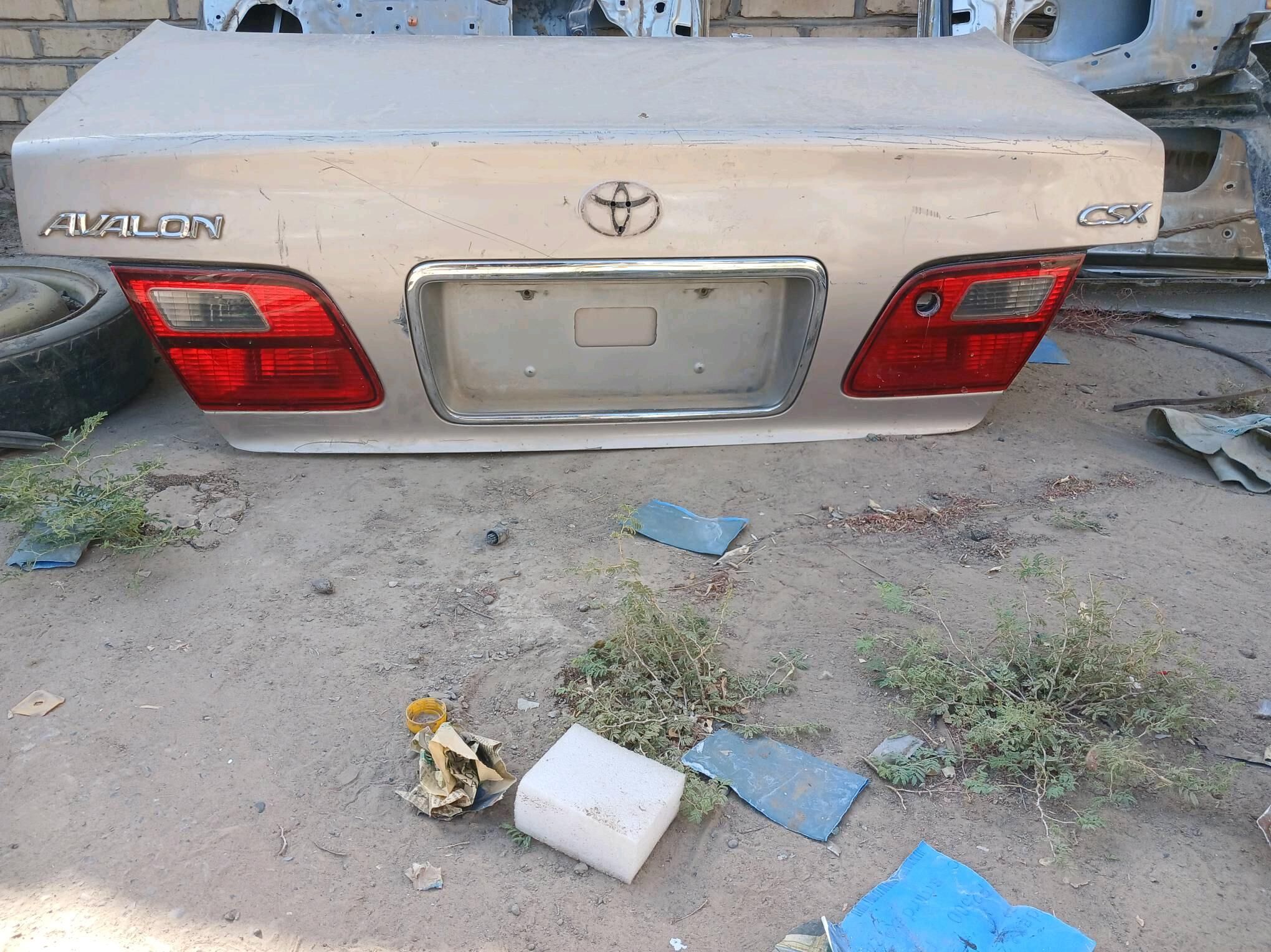 Bagaj 500 TMT - Мургап - img 2