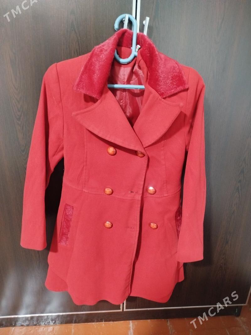 Palto - Balkanabat - img 1