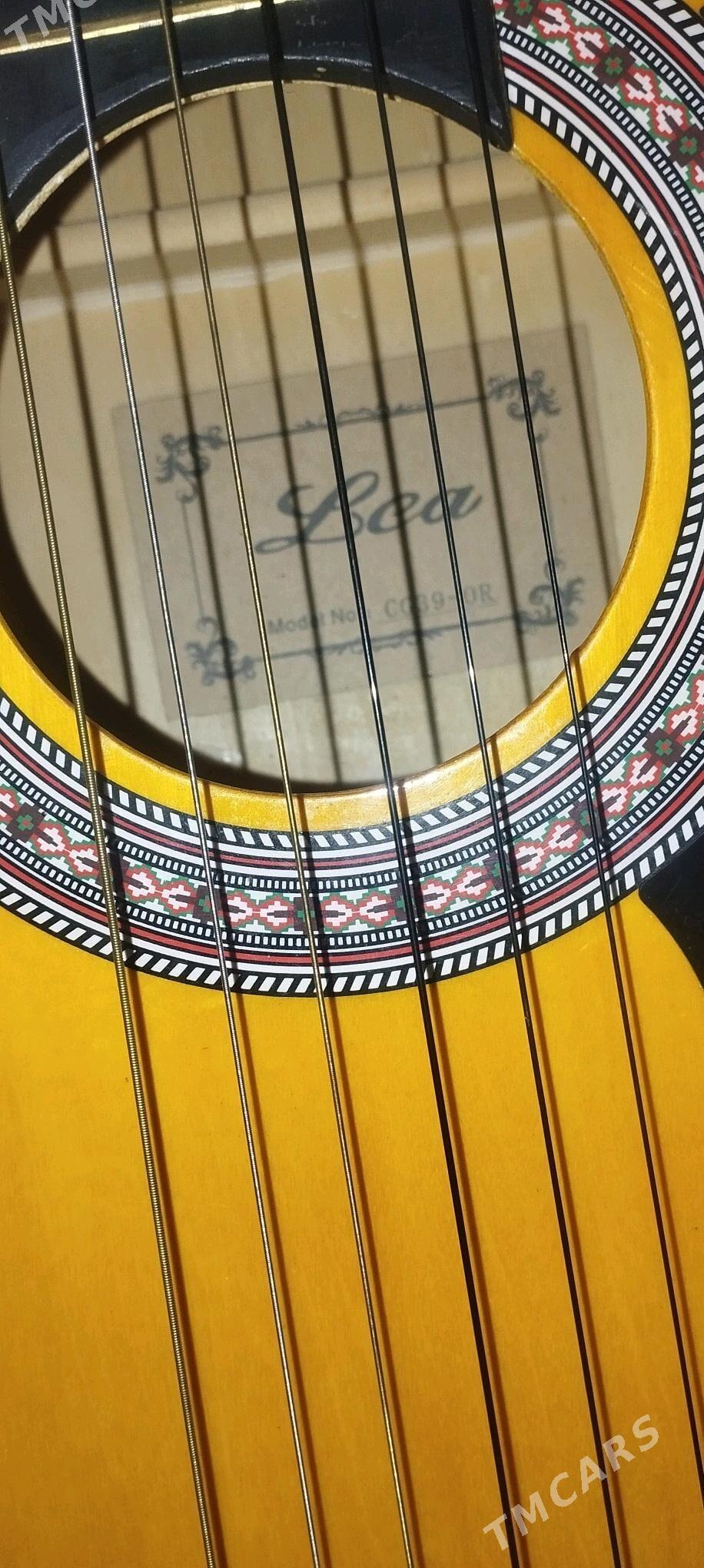 Gitara Lea - Daşoguz - img 1