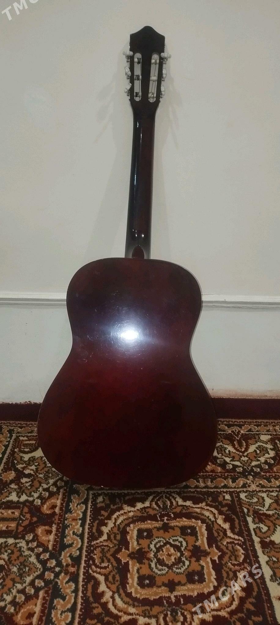 Gitara Lea - Daşoguz - img 2