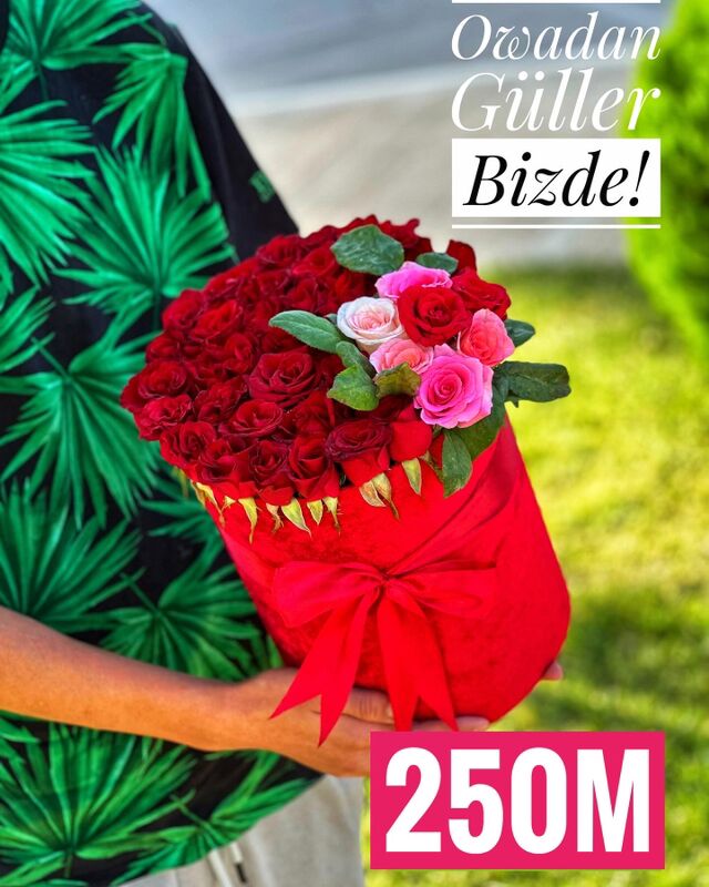 miska Teddy aýy panda pişik dem alya sowgat podarka 14 nji fewral roza gül buket - Ашхабад - img 9