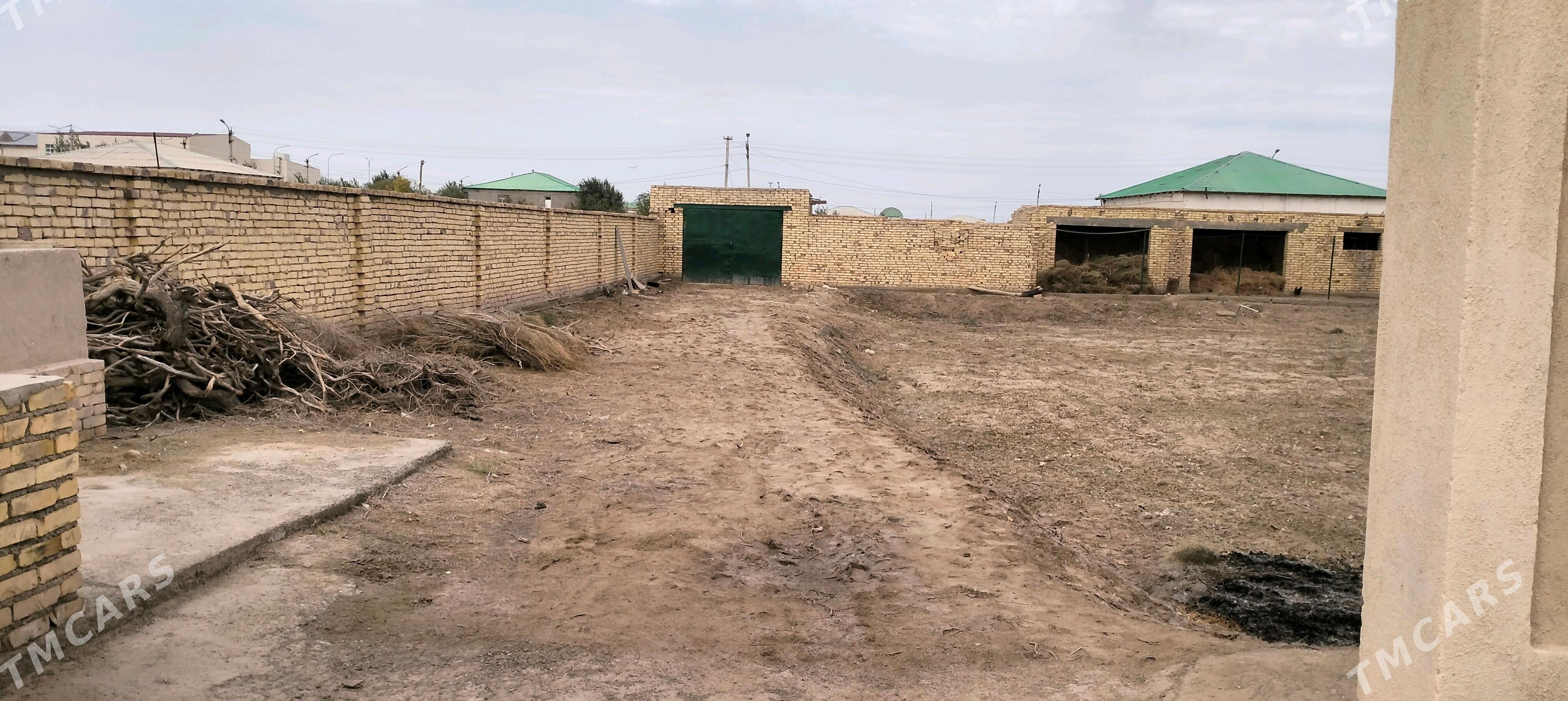 satlyk jay - Ruhubelent etraby - img 3