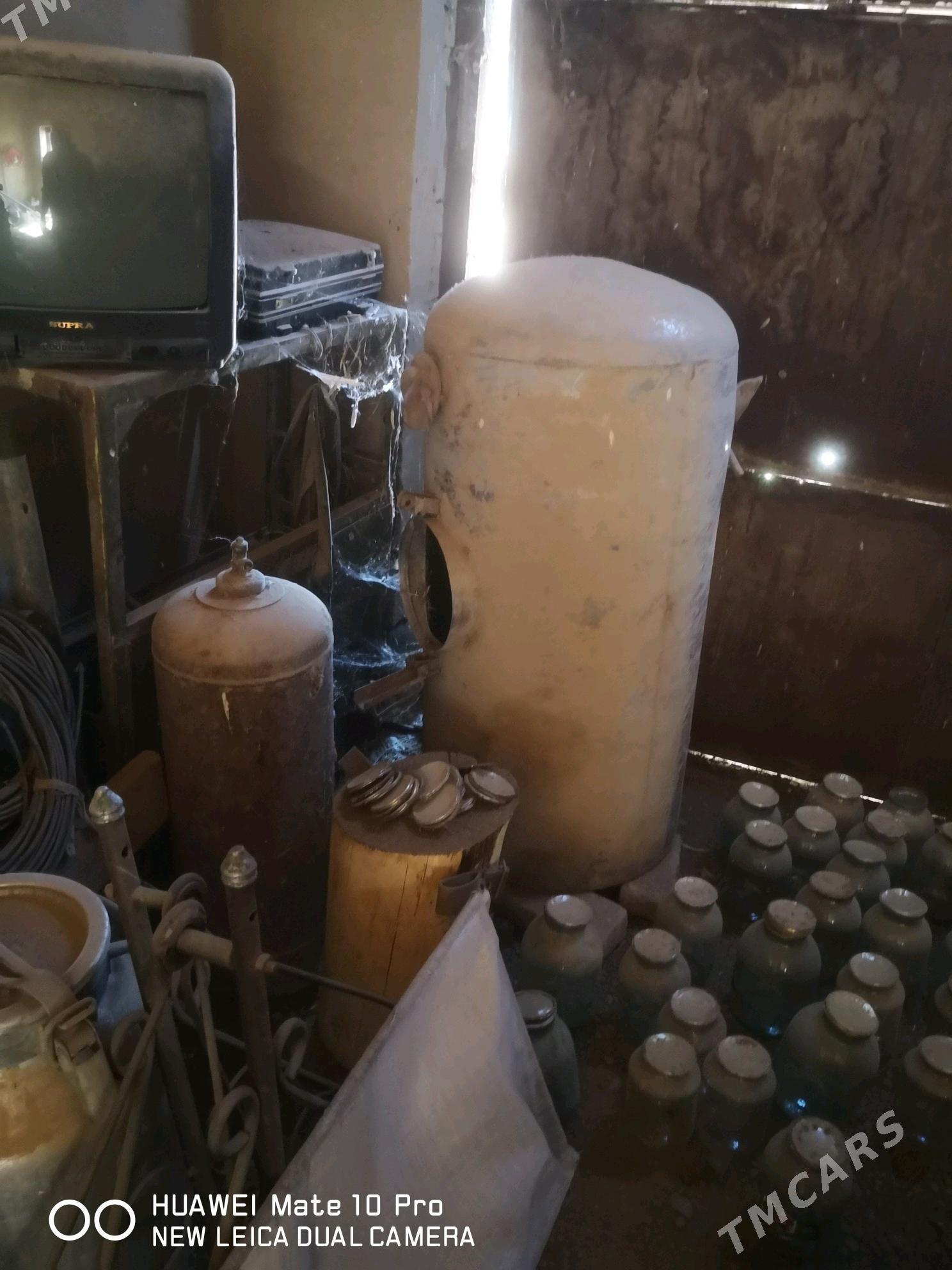 300 Li bocga nerzawika - Mary - img 4