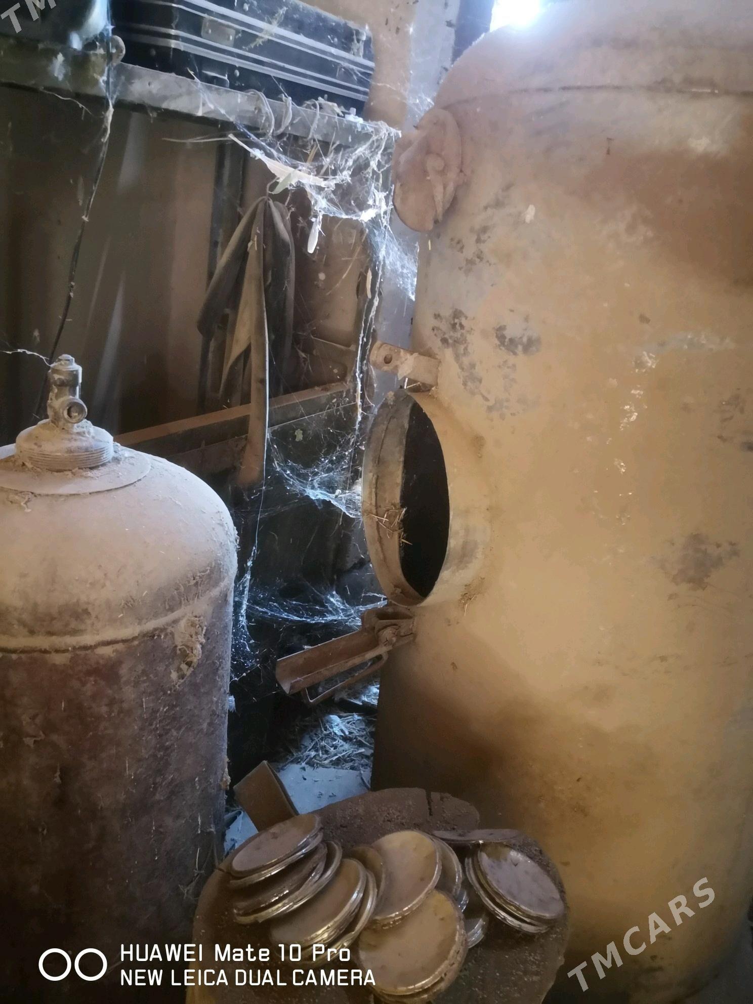 300 Li bocga nerzawika - Mary - img 2