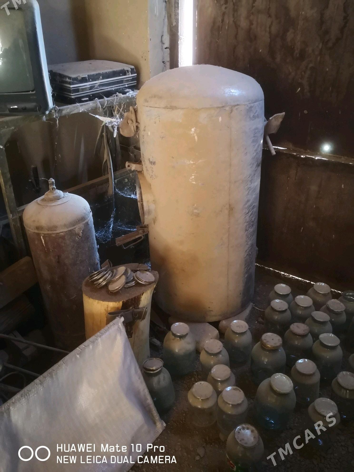 300 Li bocga nerzawika - Mary - img 3