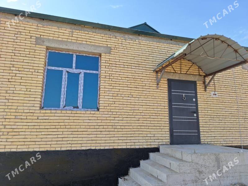 satlyk  jaý - Ak bugdaý etraby - img 3