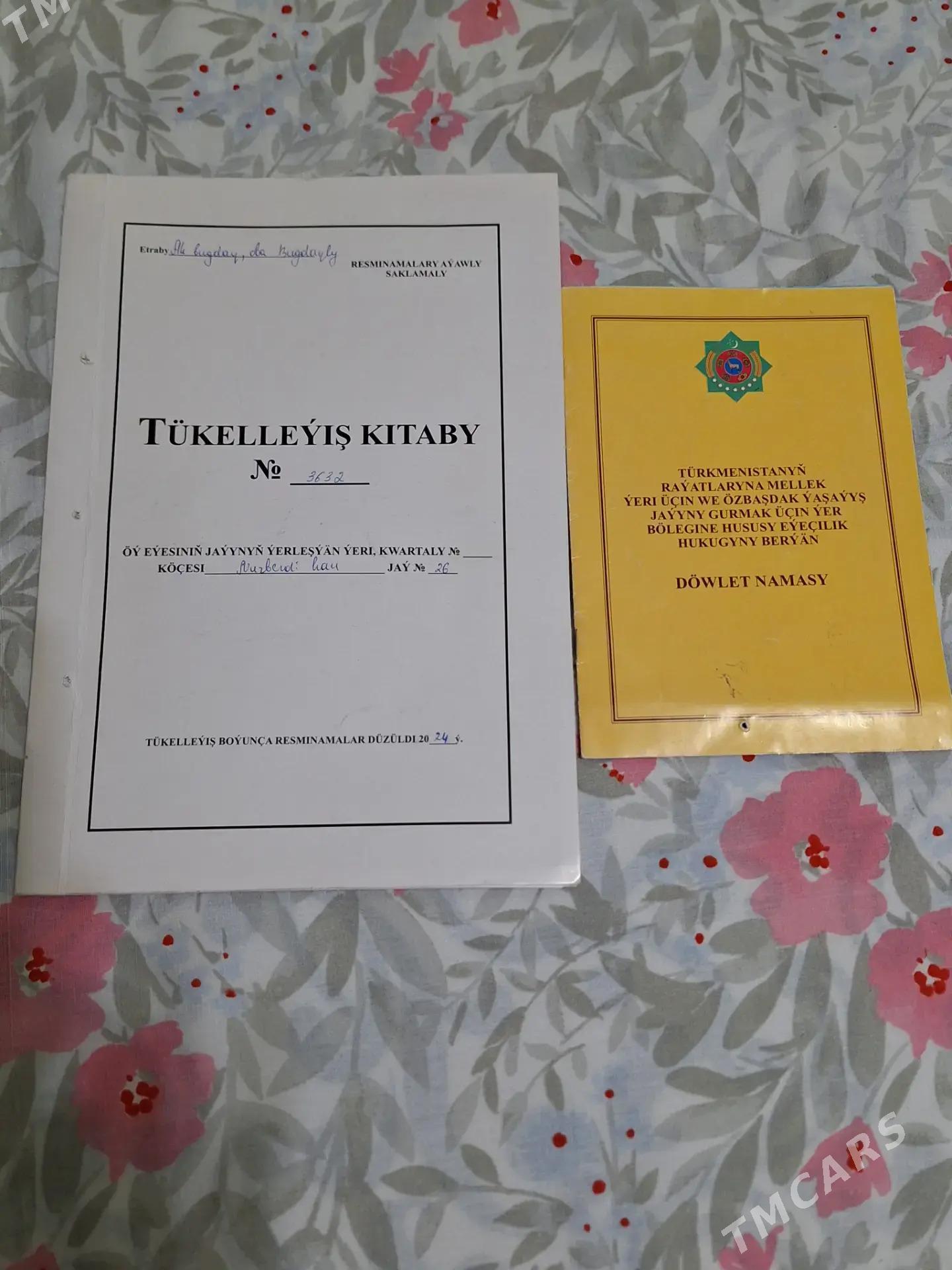 satlyk  jaý - Ak bugdaý etraby - img 6