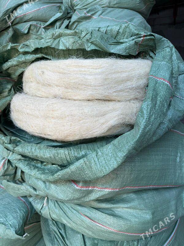 ketene - Ашхабад - img 3