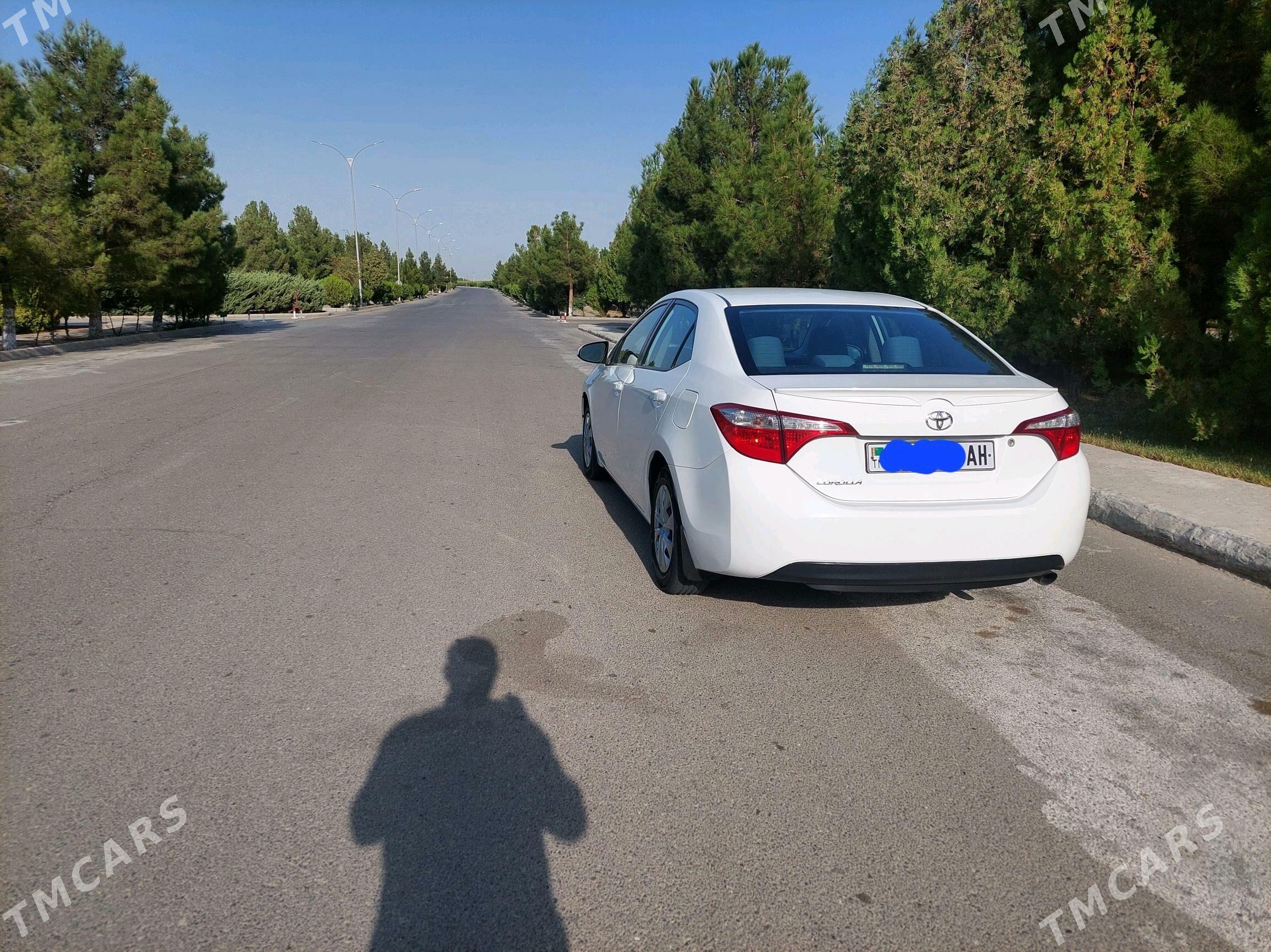 Toyota Corolla 2016 - 190 000 TMT - Bäherden - img 4