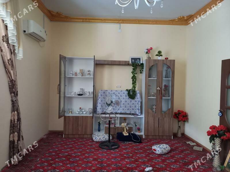 Satlyk jay - Saýat - img 1