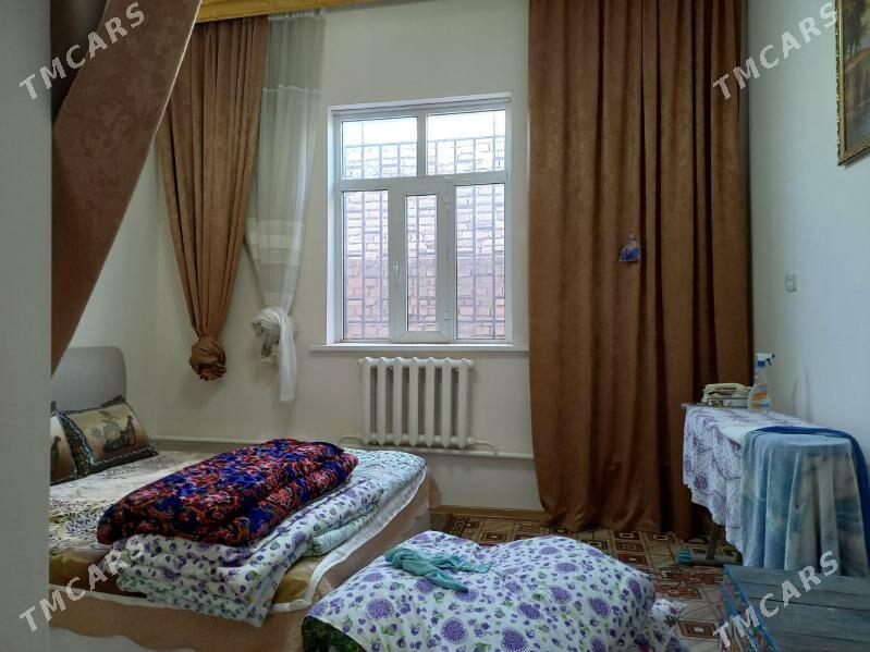 Satlyk jay - Saýat - img 5