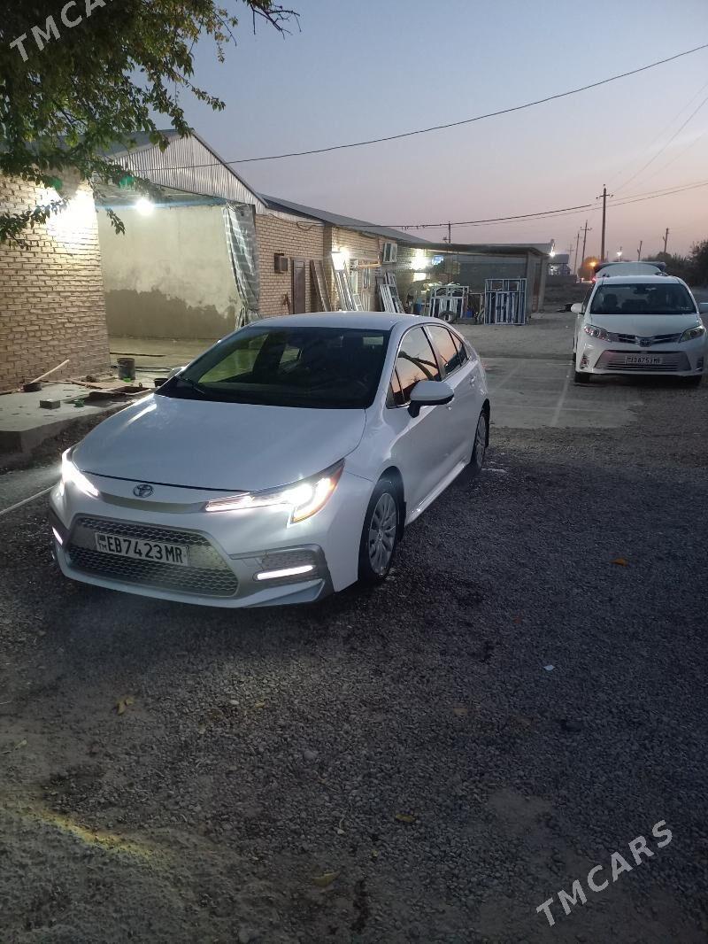 Toyota Corolla 2022 - 260 000 TMT - Мары - img 6