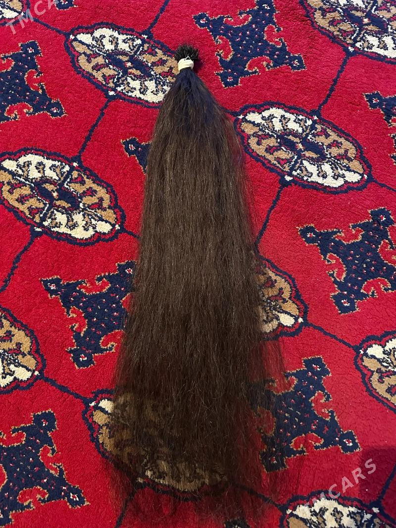 sac - Daşoguz - img 2