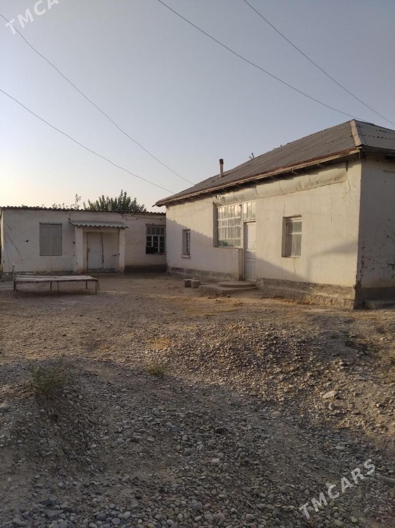 Satlyk howly jay - Тагтабазар - img 1