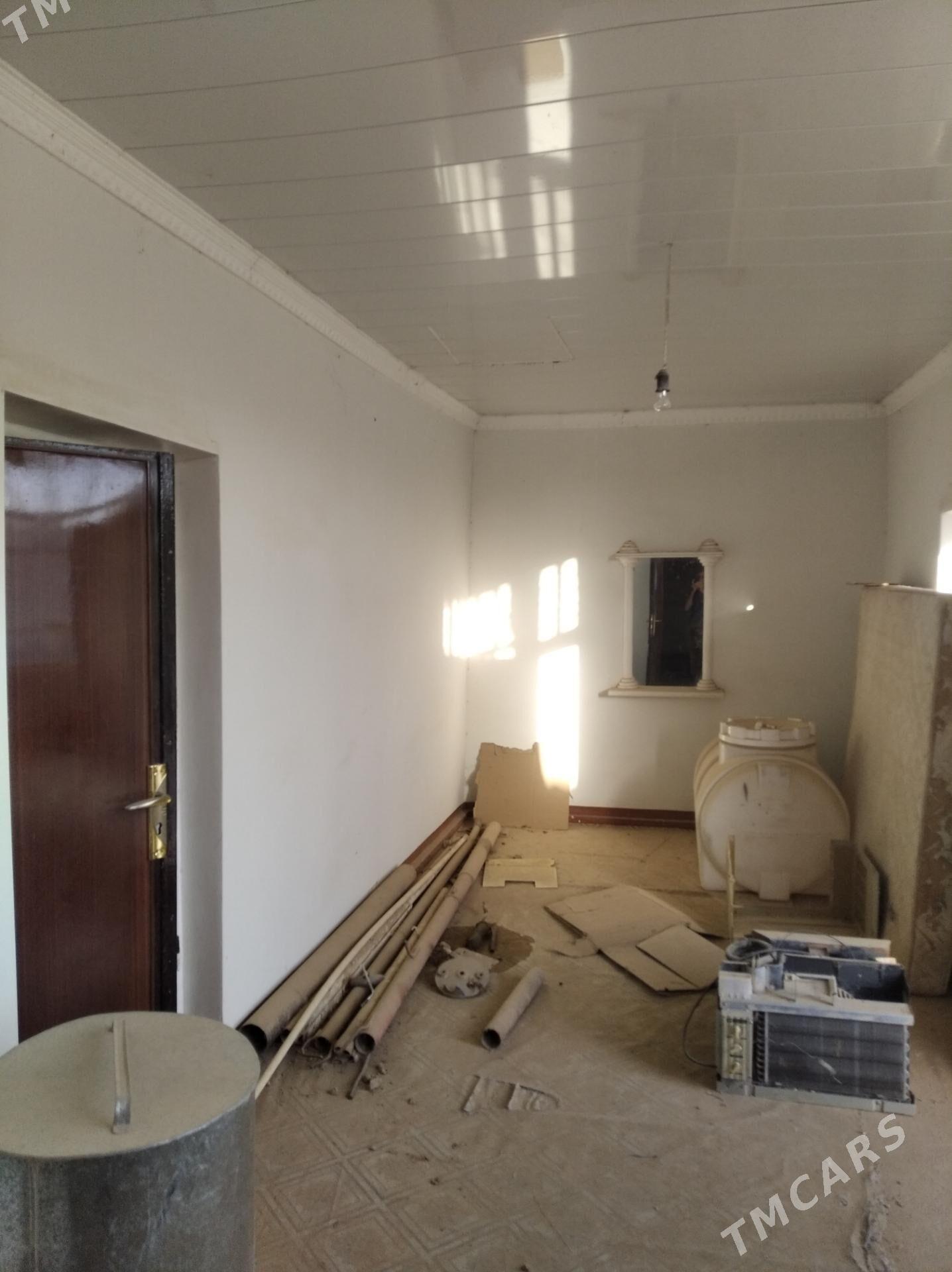 Satlyk howly jay - Tagtabazar - img 3