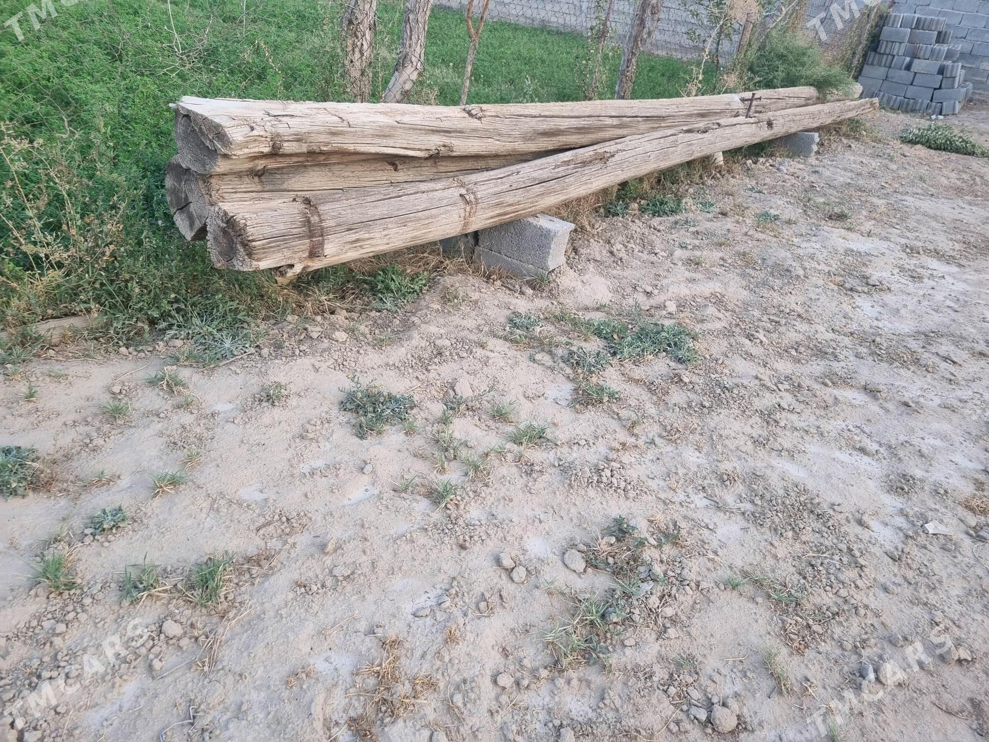 Satlyk pürs agaç - Aşgabat - img 3