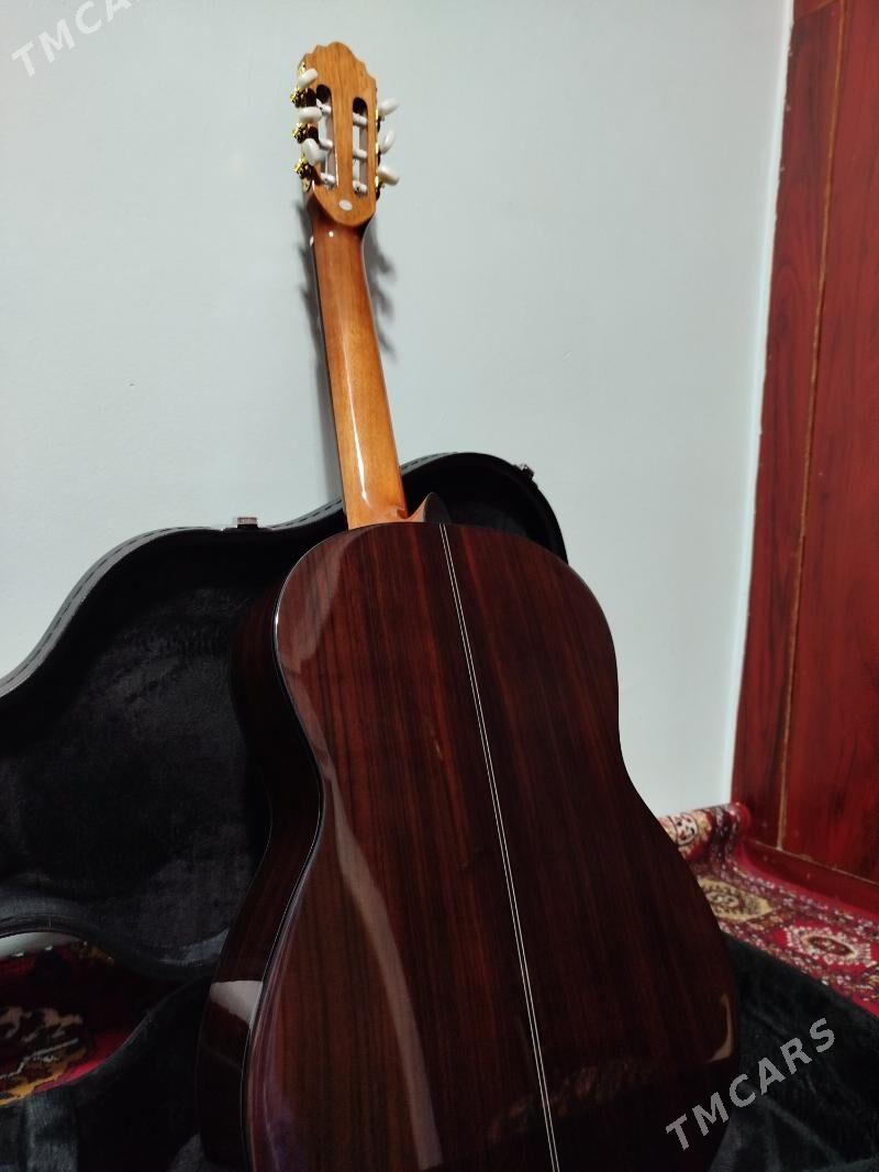 Pro klassik gitara гитара - Ашхабад - img 8