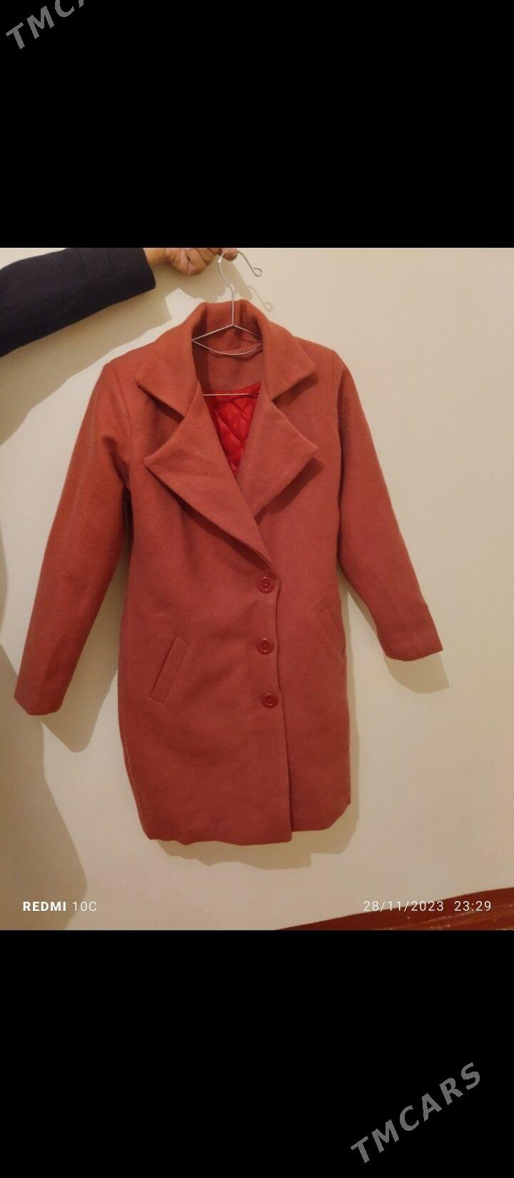 palto - Дашогуз - img 2