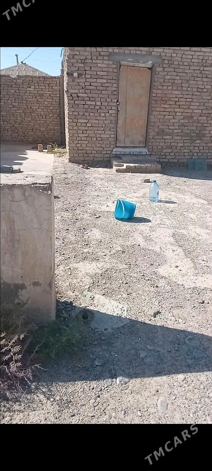 Satlyk jaý - Kaka - img 2