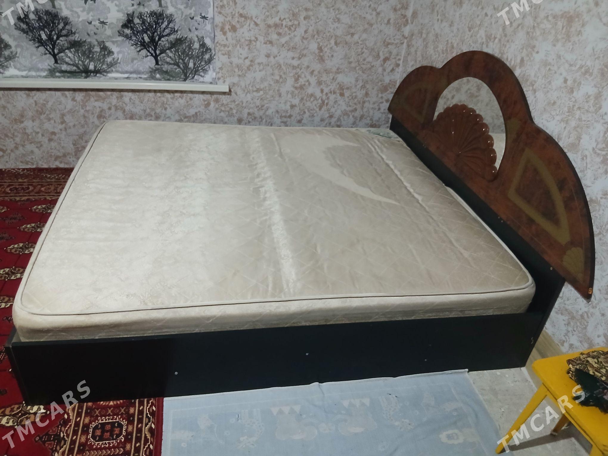 spalny krawat - Aşgabat - img 2