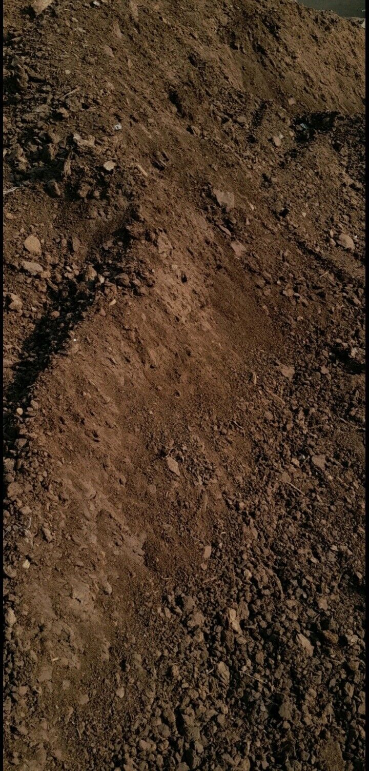 Ders - Ашхабад - img 1