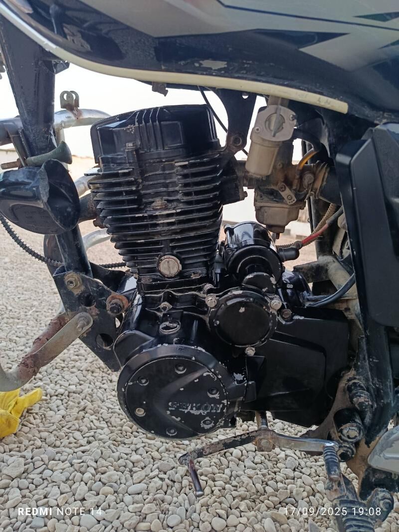 fekon 1 300 TMT - Esenguly - img 1