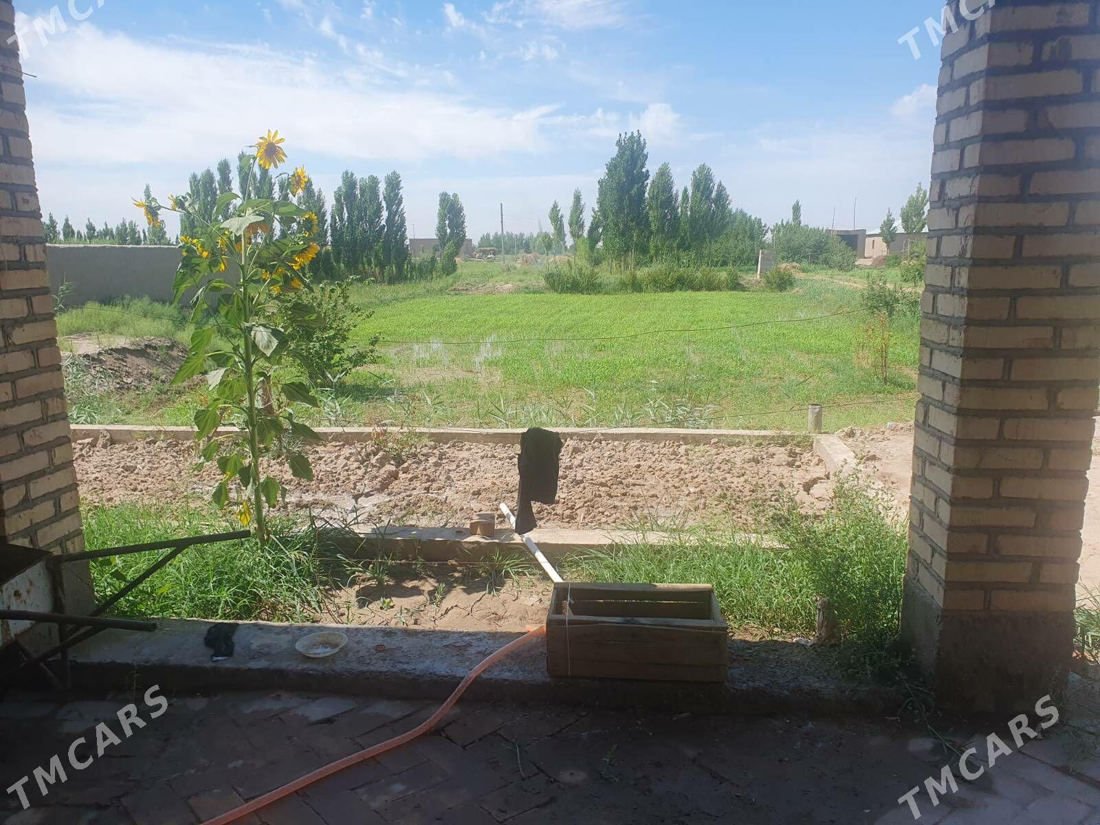 Görogly (Tagta) - Гороглы (Тагта) - img 7