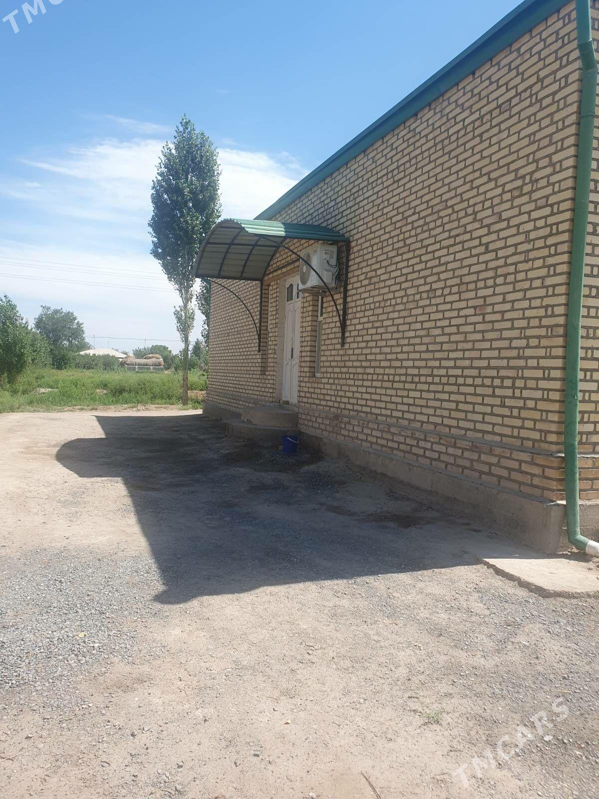 Görogly (Tagta) - Гороглы (Тагта) - img 6