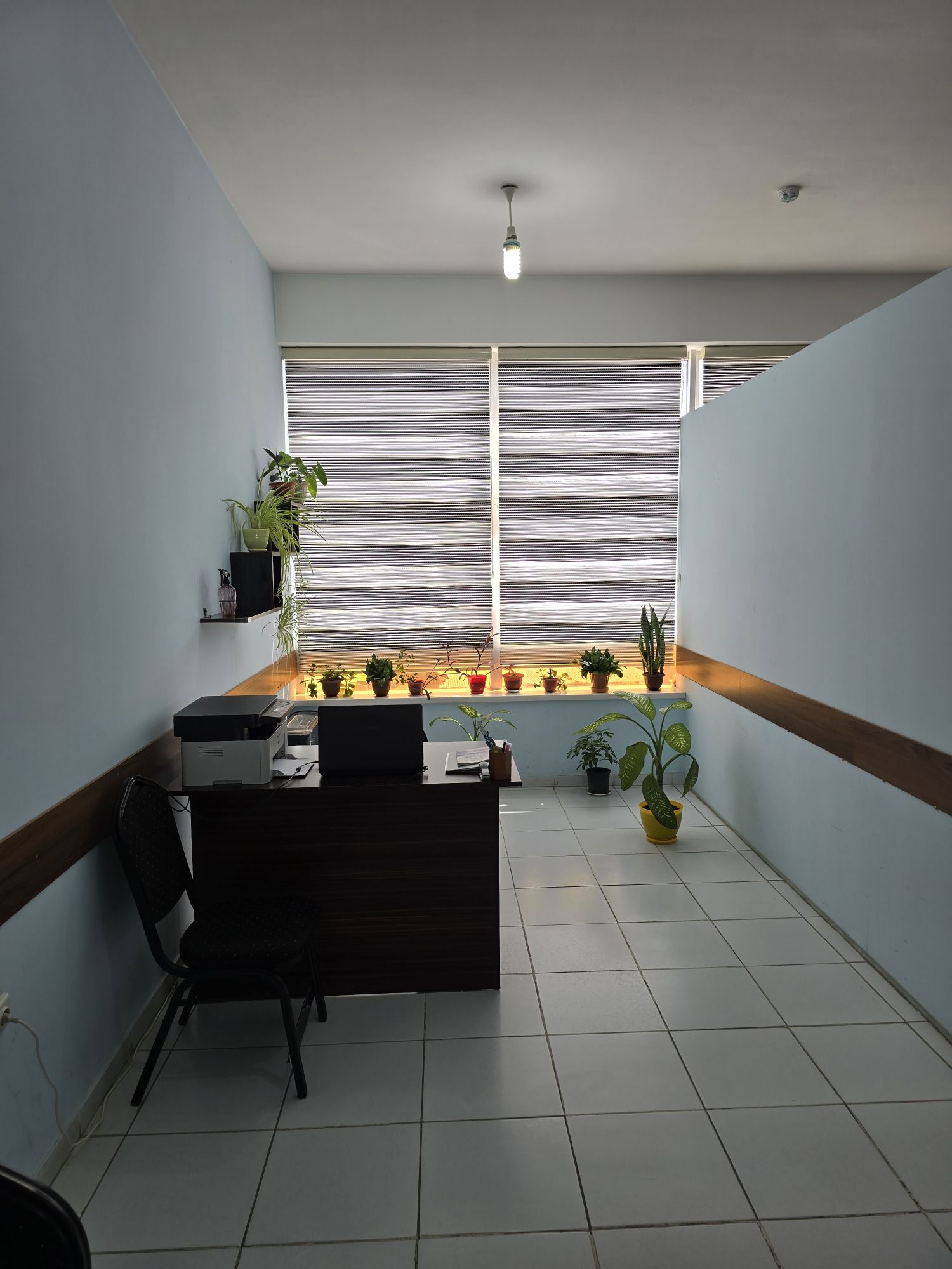 Satlyk TAÝÝAR Ofis Änewde - Aşgabat - img 5