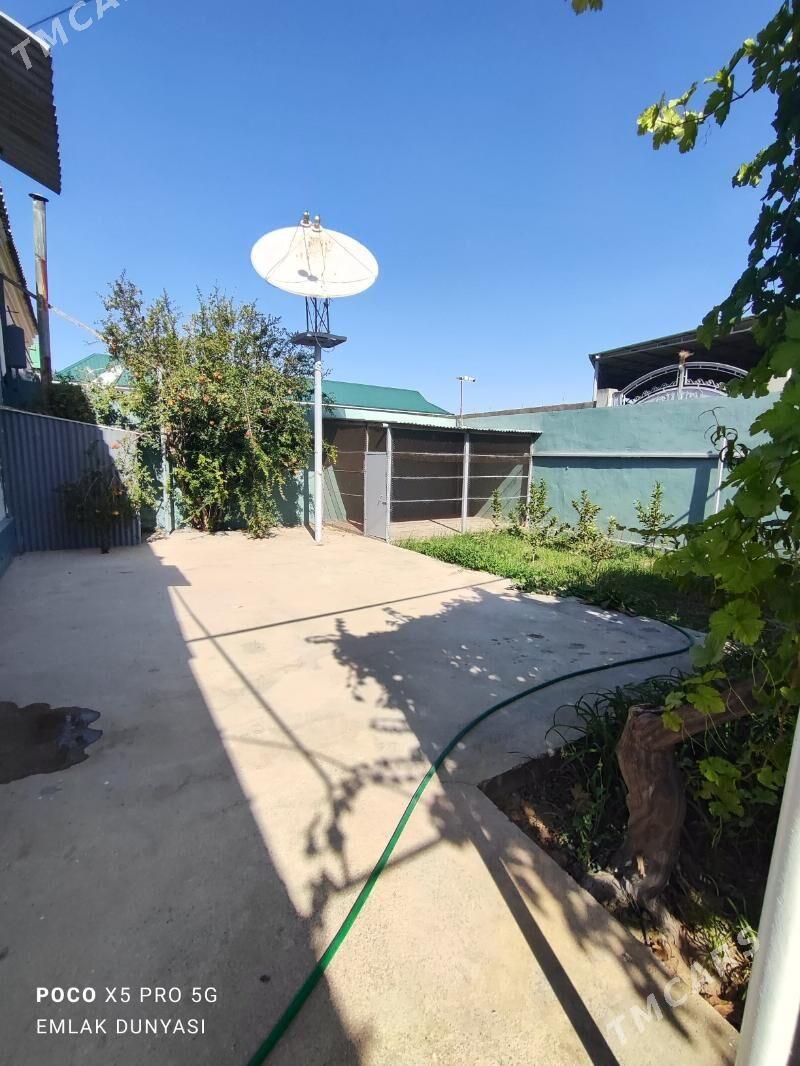 Büzmeýin 48 de - Бузмеин - img 7