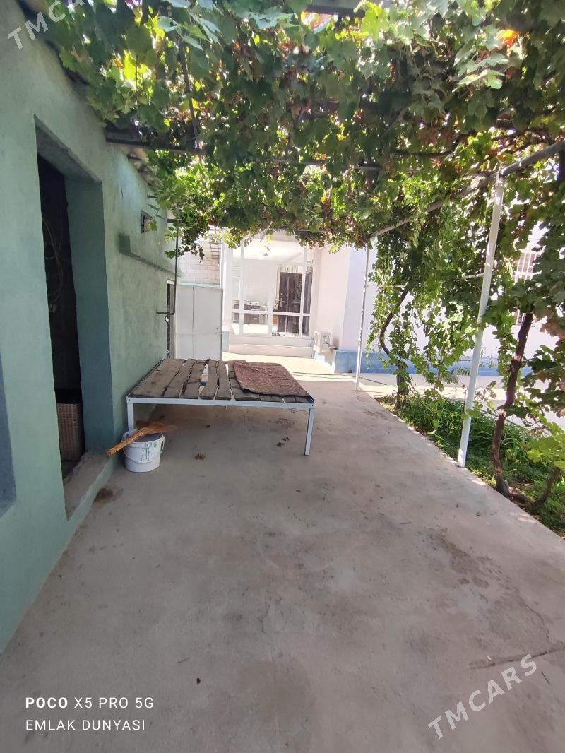 Büzmeýin 48 de - Бузмеин - img 6